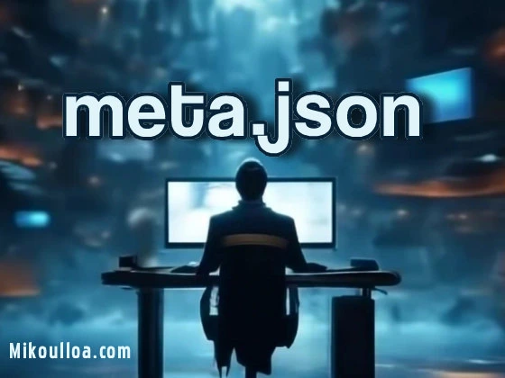 meta.json